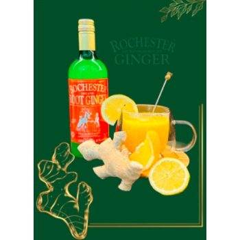Rochester ROOT Ginger